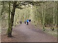 Woodland path, Rising Sun Country Park in NE12 9SQ