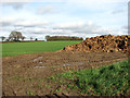 Muck heap in a field by Hall Farm in NR10 5PU
