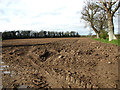 Field north of Bolwick Hall in NR10 5PU