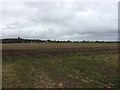 Farmland seen from Foxhill Lane in RG4 9QF