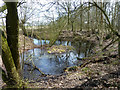 Pond, Conduit Wood in RM4 1AR