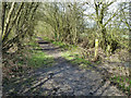 Path junction, Conduit Wood in RM4 1AR