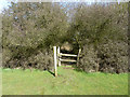 Stile at west side of Conduit Wood in Lambourne