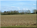 Stony field east of Church Lane, Lambourne in RM4 1AB