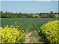 From yellow field to green field in CM77 6BY