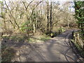 Bridleway crosses stream by footpath junction in RH17 5ED