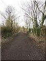 Public footpath, Palmersville in NE12 6YZ