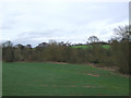 Crop field and woodland near the River Bourne in B46 2WQ