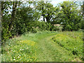 Footpath from Pound Farm or Old Hall, Rayne in CM77 6BY