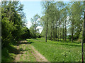 Track and public footpath towards Pound Farm in CM77 6BY