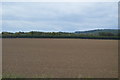 Fallow field in SS17 8DG