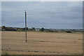 Farmland near Tilbury in RM18 8BH