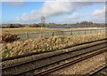 View from a Peterborough-London train - fields around a solar farm in SG18 0QF