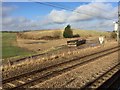 View from a Peterborough-London train - fields and abandoned skip in SG15 6XZ