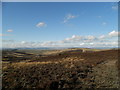 Moorland on the Sidlaws in DD3 0QU