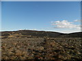Sidlaws moorland towards Craigowl in DD3 0QU