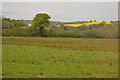 Grassland, Culm Valley in EX5 4HE