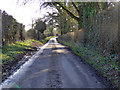 Lane from King Down to Clapgate in BH21 4JD