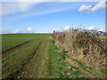 Farm track above the Beck near Dembleby in NG34 8SX