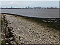 Beach along the Humber estuary in DN31 3AS