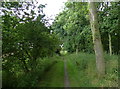 Bridleway through the Long Strip in DN31 3AS