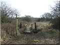 Footbridge and path junction near Bullcarr Mires Nature Area in WF9 1NU