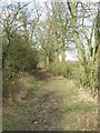 Footpath Looking North in CB10 2SA