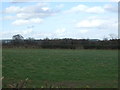 Grazing north of Penny Park Lane in CV6 4PH