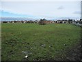 Muddy paddock, north-west of Whitburn Road in NE36 0LT