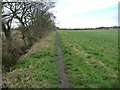 Green Lane heading west from Low House Farm in NE36 0BT