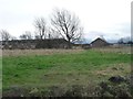 Western end, derelict site, south of Green Lane in NE36 0PF