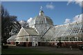 Glass houses, Queen's Park in G43 2HN