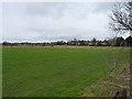 Open ground and playing fields in B24 9NF