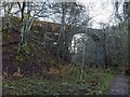 Bridge over the Golspie Burn in KW10 6RS