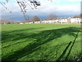 Tree shadow on a school sports field, Fellgate in NE32 4QH