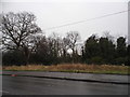 Wanstead Flats by Whipps Cross Hospital in E11 1NP