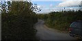 Narrow Devon lane in TQ7 2HN