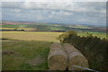Bales by the hedge in TQ7 2ND