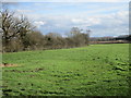 Grass field by Orchard Cottage in NG34 8TH