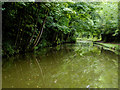 The Ashby Canal west of Shackerstone, Leicestershire in CV13 0BH