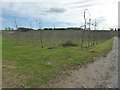 Orchards at Hockham's Farm in WR6 6QQ