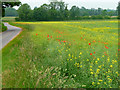 Farmland near Little Ellingham in NR17 1JR
