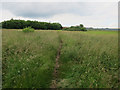 Grassy area, Fakenham Industrial Estate in NR21 8JD
