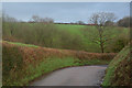 North Devon : Country Lane in EX16 8AN