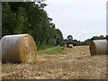 Bales along the Hedgerow in HP17 8AL
