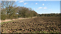 Cultivated field south of Green Man Lane in Kirstead