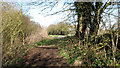 Approaching Green Man Lane on Martin's Lane in Kirstead