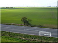 Farmland on Downham Market Fen in PE38 0AY
