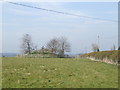 Tumulus near Boughton Grange in NN2 8ES