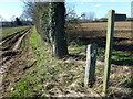 Footpath near West Dereham in PE33 9RW